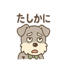 まぬけ顔シュナのゆる敬語スタンプ（個別スタンプ：37）