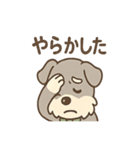 まぬけ顔シュナのゆる敬語スタンプ（個別スタンプ：40）