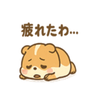 つっこみモルモ 反応まかせの毎日スタンプ（個別スタンプ：39）