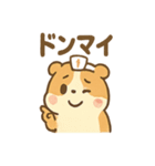 つっこみモルモ 反応まかせの毎日スタンプ（個別スタンプ：40）
