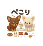 ふわふわチワワの冬スタンプ（個別スタンプ：13）