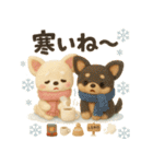 ふわふわチワワの冬スタンプ（個別スタンプ：16）