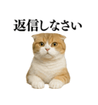 【爆笑】スコティッシュホールドの便利台詞（個別スタンプ：8）