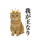 【爆笑】スコティッシュホールドの便利台詞（個別スタンプ：19）