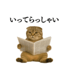 【爆笑】スコティッシュホールドの便利台詞（個別スタンプ：21）