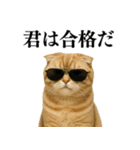 【爆笑】スコティッシュホールドの便利台詞（個別スタンプ：28）