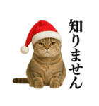 【爆笑】スコティッシュホールドの便利台詞（個別スタンプ：32）
