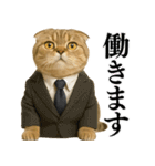 【爆笑】スコティッシュホールドの便利台詞（個別スタンプ：34）