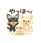ふわふわチワワの春スタンプ（個別スタンプ：2）