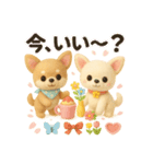 ふわふわチワワの春スタンプ（個別スタンプ：5）