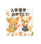 ふわふわチワワの春スタンプ（個別スタンプ：15）