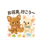 ふわふわチワワの春スタンプ（個別スタンプ：20）