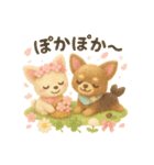 ふわふわチワワの春スタンプ（個別スタンプ：21）