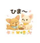 ふわふわチワワの春スタンプ（個別スタンプ：23）