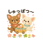 ふわふわチワワの春スタンプ（個別スタンプ：25）