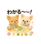 ふわふわチワワの春スタンプ（個別スタンプ：40）