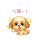 シーズースタンプ【繁體字】（個別スタンプ：5）