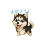 シベリアンハスキースタンプ【日本語】（個別スタンプ：3）