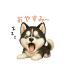 シベリアンハスキースタンプ【日本語】（個別スタンプ：4）