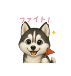 シベリアンハスキースタンプ【日本語】（個別スタンプ：5）