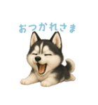 シベリアンハスキースタンプ【日本語】（個別スタンプ：6）