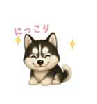 シベリアンハスキースタンプ【日本語】（個別スタンプ：11）