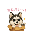 シベリアンハスキースタンプ【日本語】（個別スタンプ：14）