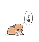 差し出すネコ（個別スタンプ：2）