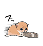 差し出すネコ（個別スタンプ：3）