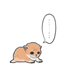 差し出すネコ（個別スタンプ：4）