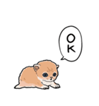 差し出すネコ（個別スタンプ：6）