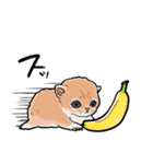 差し出すネコ（個別スタンプ：8）