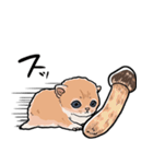 差し出すネコ（個別スタンプ：9）