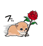 差し出すネコ（個別スタンプ：12）