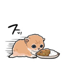 差し出すネコ（個別スタンプ：13）