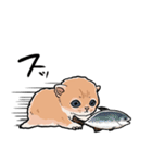 差し出すネコ（個別スタンプ：14）