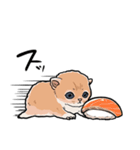 差し出すネコ（個別スタンプ：16）