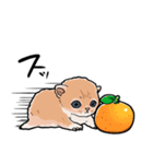 差し出すネコ（個別スタンプ：17）