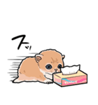 差し出すネコ（個別スタンプ：20）