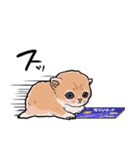 差し出すネコ（個別スタンプ：21）