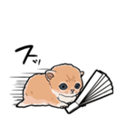 差し出すネコ（個別スタンプ：23）