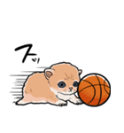 差し出すネコ（個別スタンプ：24）