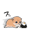 差し出すネコ（個別スタンプ：25）