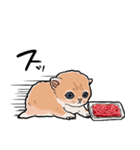 差し出すネコ（個別スタンプ：29）
