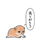 差し出すネコ（個別スタンプ：30）