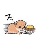差し出すネコ（個別スタンプ：31）