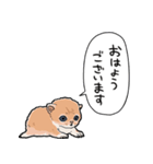 差し出すネコ（個別スタンプ：34）