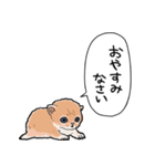 差し出すネコ（個別スタンプ：35）