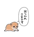 差し出すネコ（個別スタンプ：36）