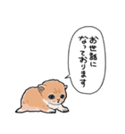 差し出すネコ（個別スタンプ：37）